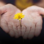 Ich will ein Segen sein | Mit der Bibel beten