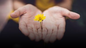 Mehr über den Artikel erfahren Ich will ein Segen sein | Mit der Bibel beten