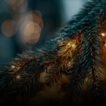 Schmerz & Freude: Zwei Weihnachtsgeschichten voller Erinnerungen