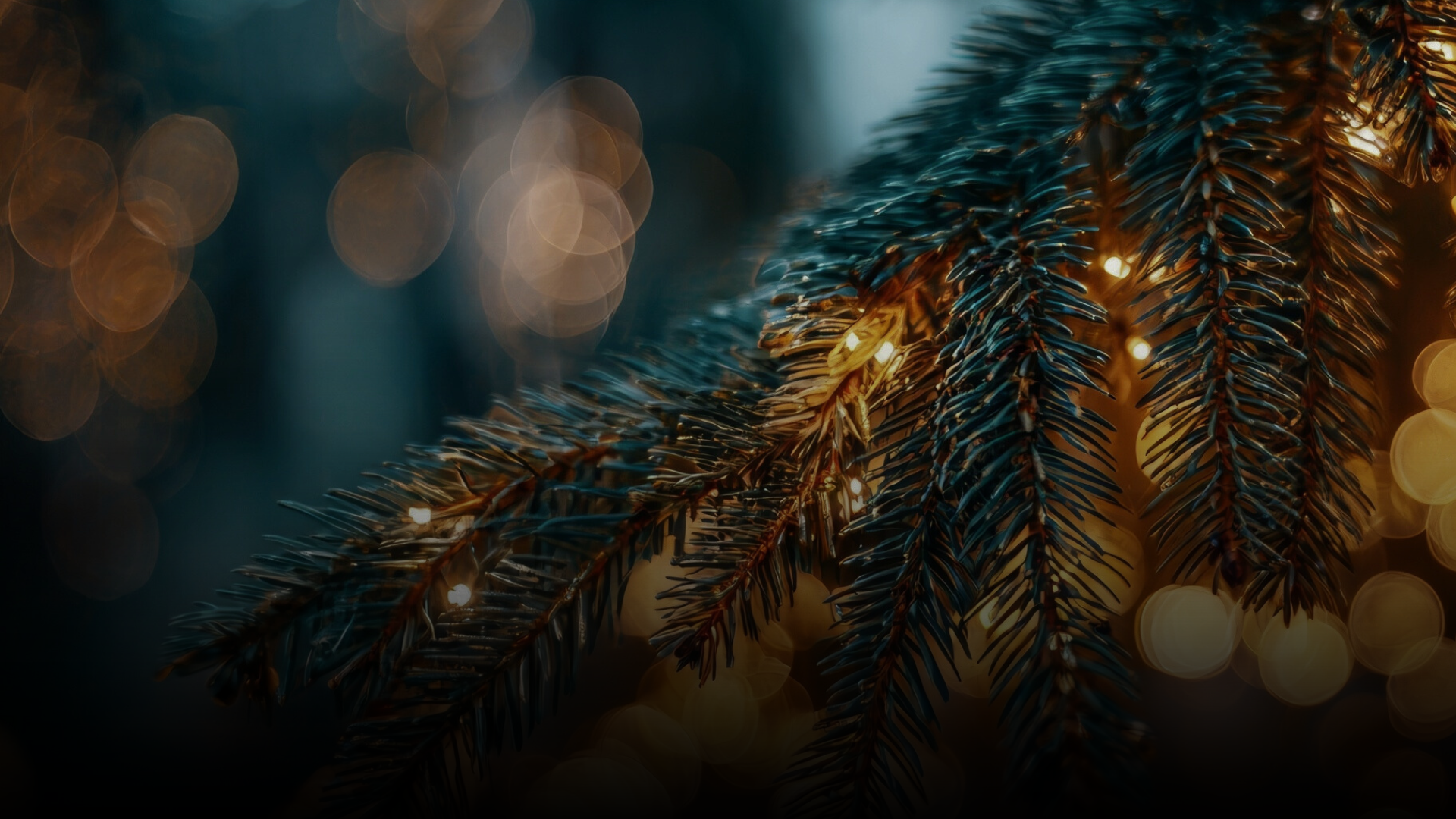 Mehr über den Artikel erfahren Schmerz & Freude: Zwei Weihnachtsgeschichten voller Erinnerungen